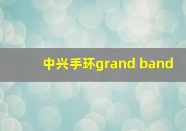 中兴手环grand band